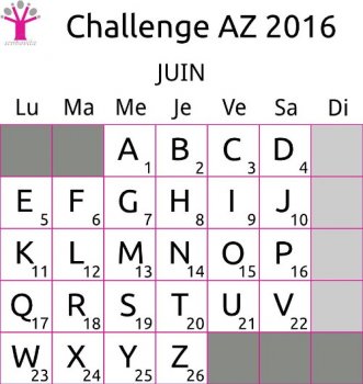 challenge-AZ-2016-grille