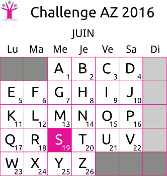 challenge-AZ-2016-grille-S