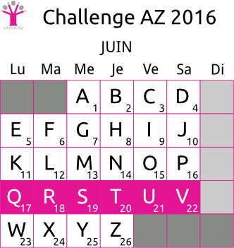 challenge-AZ-2016-grille-Q-V