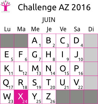 challenge-AZ-2016-grille-X