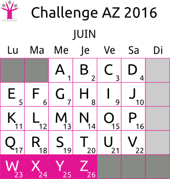 challenge-AZ-2016-grille-W-Z