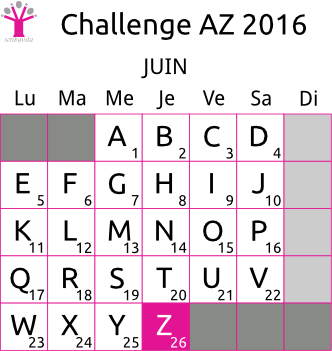 challenge-AZ-2016-grille-Z