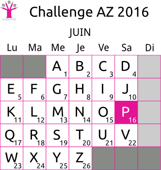 challenge-AZ-2016-grille-P