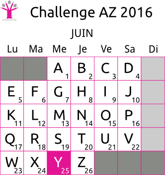 challenge-AZ-2016-grille-Y