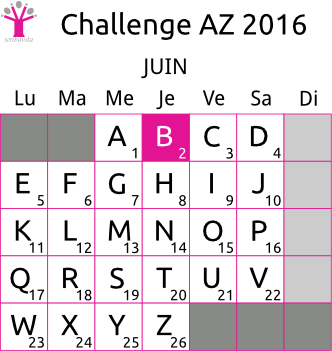challenge-AZ-2016-grille-B