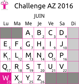 challenge-AZ-2016-grille-W