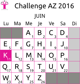 challenge-AZ-2016-grille-K