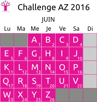 challenge-AZ-2016-grille-definitions