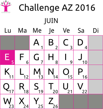 challenge-AZ-2016-grille-E