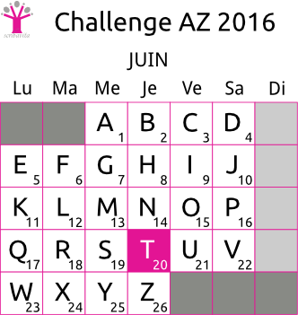 challenge-AZ-2016-grille-T