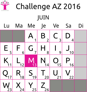challenge-AZ-2016-grille-M