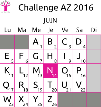 challenge-AZ-2016-grille-N